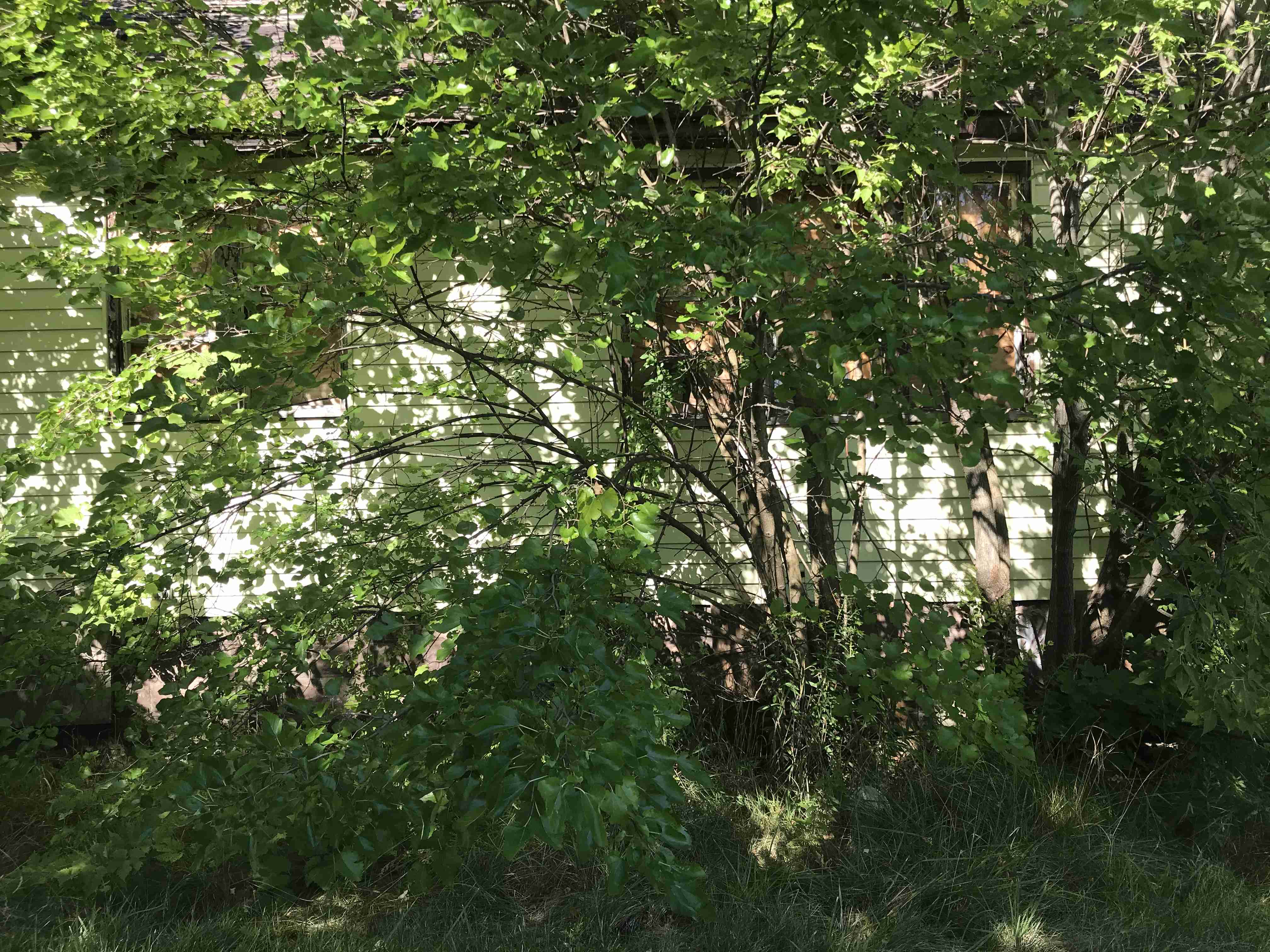 Photo Aug 20, 10 23 03 AM.jpg